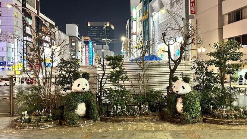 Tokyo: Akihabara, Shibuya, Karaoke & City Lights Night Tour - Key Points You’ll Actually Care About
