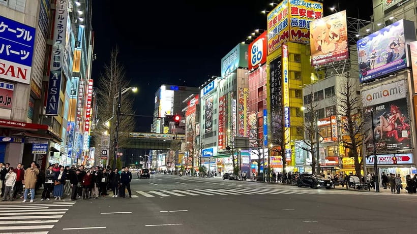 Tokyo: Akihabara, Shibuya, Karaoke & City Lights Night Tour - Price and Value: What $79 Really Buys You
