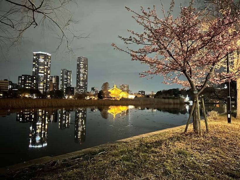Tokyo: Akihabara, Shibuya, Karaoke & City Lights Night Tour - Who This Tour Fits Best (And Who Should Skip It)