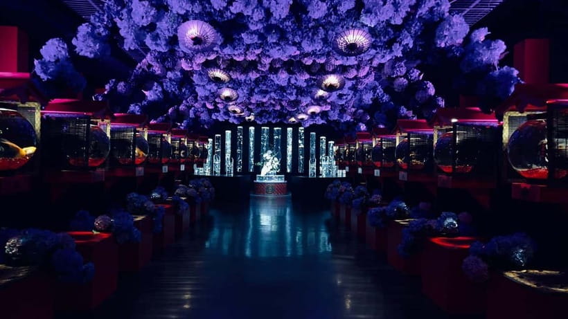 Tokyo: Art Aquarium Museum GINZA Entry Ticket - Goldfish displays with lighting made for cameras