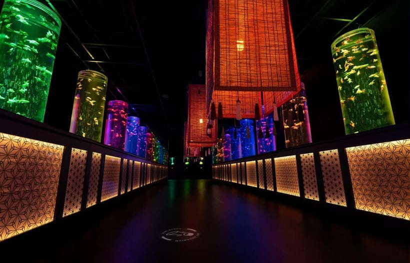 Tokyo: Art Aquarium Museum GINZA Entry Ticket - The Edo-period connection, explained through design