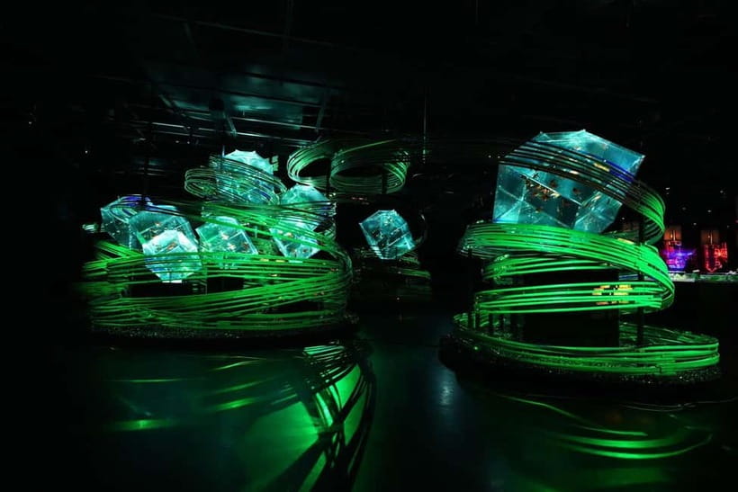Tokyo: Art Aquarium Museum GINZA Entry Ticket - Seasonal changes: why it can feel new on a second trip