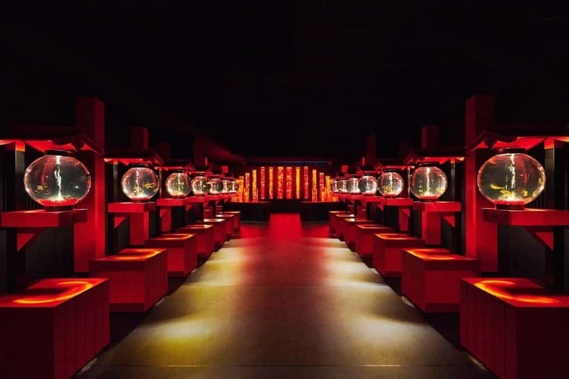 Tokyo: Art Aquarium Museum GINZA Entry Ticket - Location reality check: Ginza means easy logistics