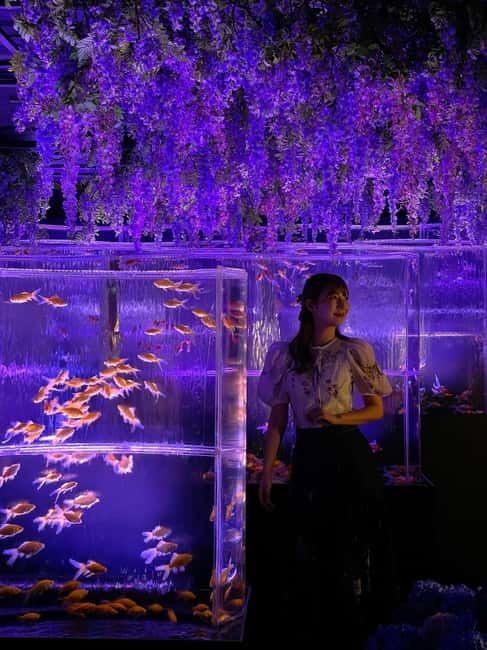 Tokyo: Art Aquarium Museum GINZA Entry Ticket - Tickets, timing, and how long to plan for