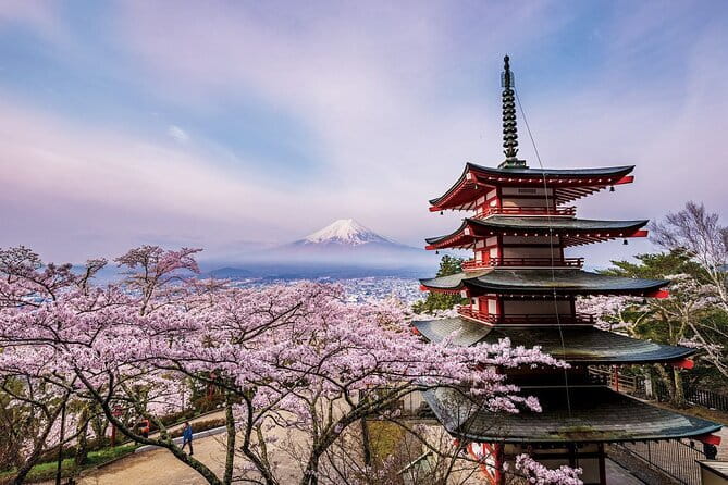 Tokyo: Asakusa Temple & Shrine Walking Tour with Local Guide - Asakusa Shrine: Shinto etiquette next door to Buddhism
