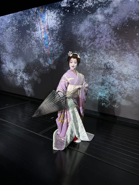 Tokyo: Authentic Japanese Dance Show ticket by professionals - Shinjuku’s Japanese Dance Show: Why This Ticket Is Worth Your Time