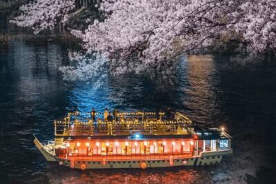Tokyo Bay Yakatabune Cruise with Traditional JapaneseShow Drinks