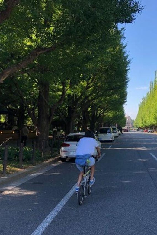 Tokyo Bike Tour: Shibuya, Harajuku & Hidden Gems - Pace and traffic reality: what you need to be comfortable with