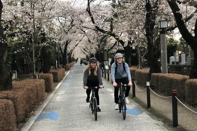 Tokyo Bike Tour: Shibuya & Hidden Tokyo - Why biking Shibuya works better than walking