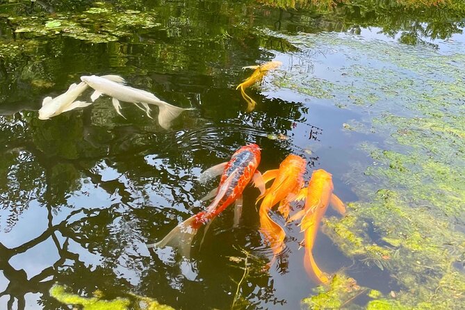 Tokyo Castle, Imperial Palace, Shogun & Garden Walking Tour - East Gardens, Ninomaru Garden, and Where to Stand for Photos
