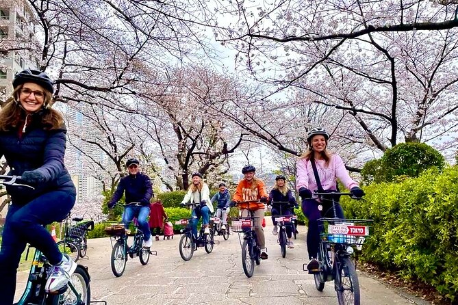 Tokyo Cherry Blossoms blooming spots E-bike Tour, 3hrs - Key reasons this Tokyo sakura E-bike tour works