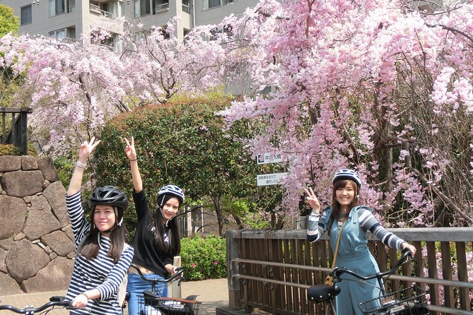 Tokyo Cherry Blossoms blooming spots E-bike Tour, 3hrs - Why an E-bike Makes Tokyo Sakura Viewing Easier