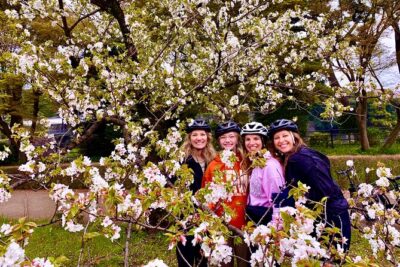 Tokyo Cherry Blossoms blooming spots E-bike Tour, 3hrs