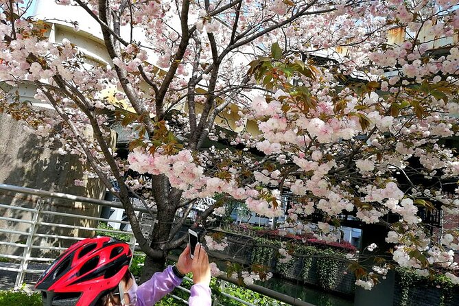 Tokyo Cherry Blossoms blooming spots E-bike Tour, 3hrs - Yasukuni Shrine Park: Getting Off the Bike for Real Viewing Time
