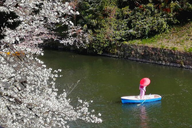Tokyo Cherry Blossoms blooming spots E-bike Tour, 3hrs - Hibiya Park: Quick Pass, Big Name Recognition