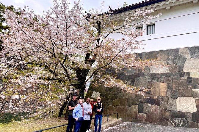 Tokyo Cherry Blossoms blooming spots E-bike Tour, 3hrs - Kensei Kinenkan: Another Off-Bike Photo Break