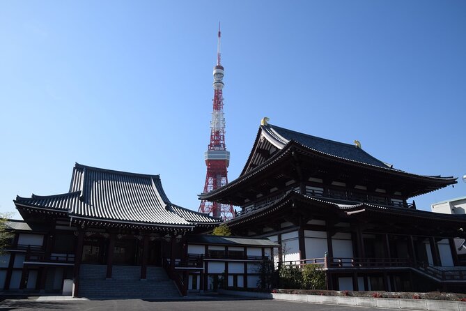 Tokyo City 1-Day Private Tour with Bilingual Driver - Asakusa and Senso-ji: temple streets, photo moments, and easy pacing