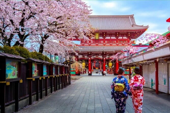 Tokyo City Tour by Private Car & English guide - Key highlights that matter before you book