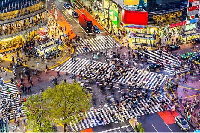 Tokyo City Tour by Private Car & English guide - Shibuya Crossing, the movie-location moment