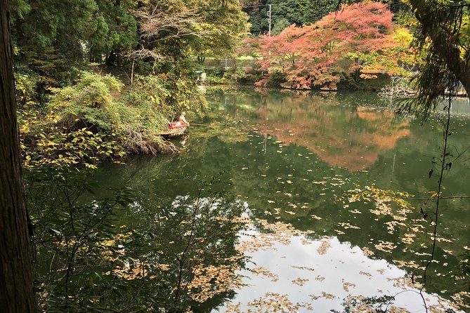 Tokyo Countryside Exploration Private Tour - Hanno Bamboo Temple, Gozu, and the deer and monkey factor