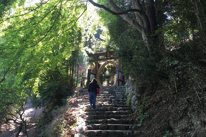 Tokyo Countryside Exploration Private Tour - The Torii Pagoda for Xuanzang’s bones, plus a drive past Arima Dam