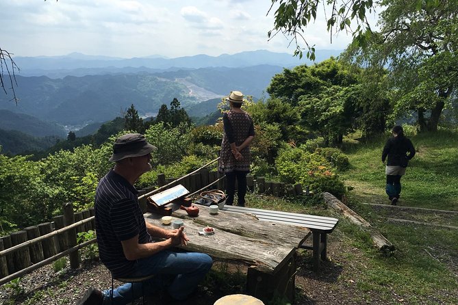 Tokyo Countryside Exploration Private Tour - Koma Shrine in Saitama, then Ne-no-gongen for views and healthy legs