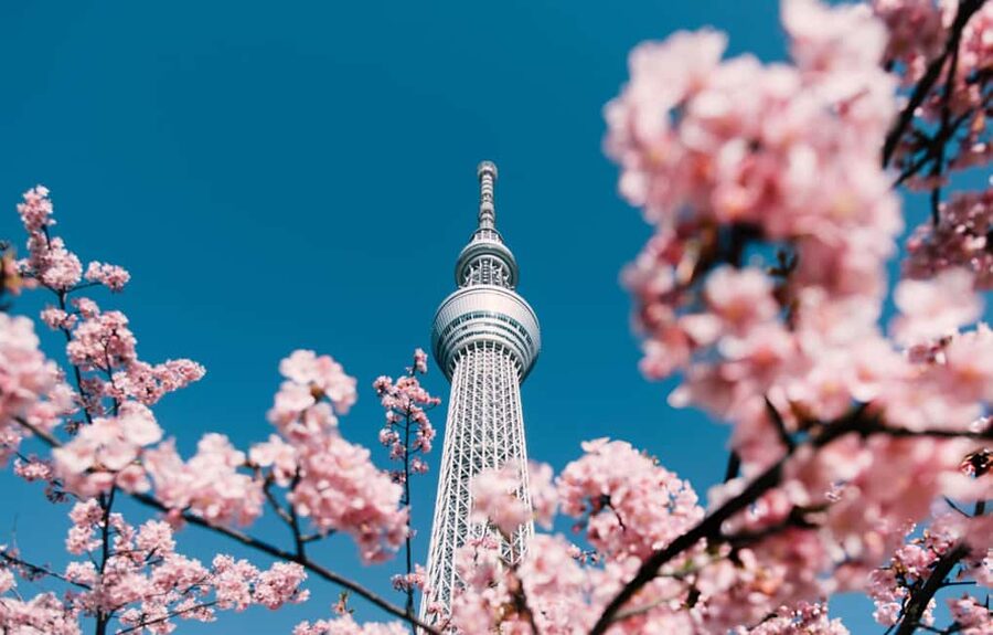 Tokyo: Customizable Day Trip Within Tokyo & English-Driver - Odaiba: Gundam, teamLab Borderless area, Palette Town ferris wheel, and waterfront photos