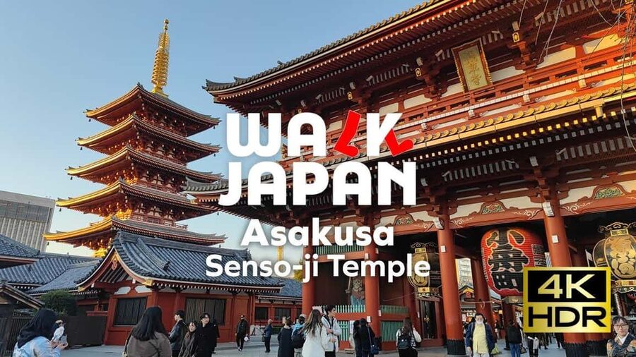 Tokyo: Customizable Day Trip Within Tokyo & English-Driver - Price: when $322 per group makes sense in Tokyo