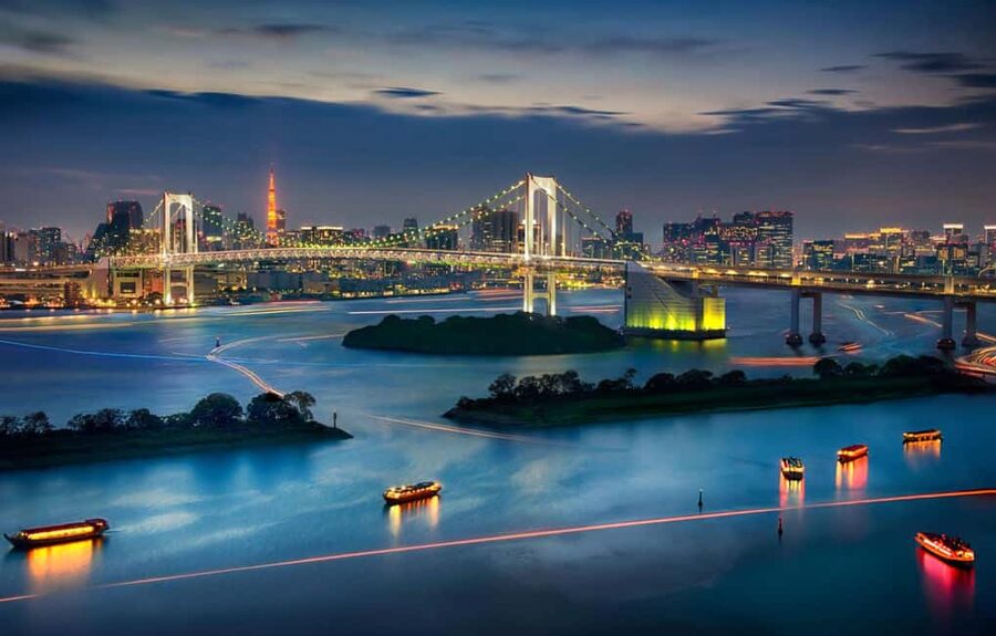 Tokyo: Customizable Day Trip Within Tokyo & English-Driver - Ueno Park photo stop and Akihabara Electric Town without transit headaches