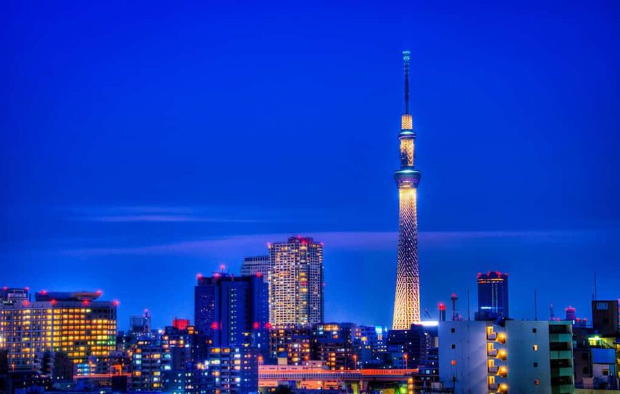 Tokyo: Customizable Day Trip Within Tokyo & English-Driver - Meiji Shrine calm, Hachiko moment, and Shibuya Crossing timing