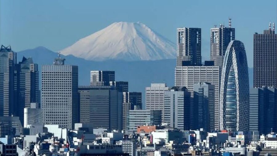 Tokyo: Customizable Private Guided Walking Tour - How a private guide makes Tokyo make sense in 4 hours