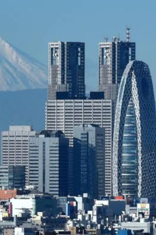 Tokyo: Customizable Private Guided Walking Tour - Shibuya Crossing: the main event, plus smart side streets