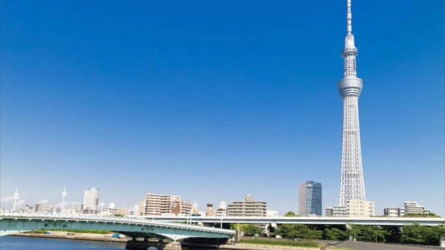 Tokyo: Customizable Private Guided Walking Tour - Who this tour fits best, and who should reconsider