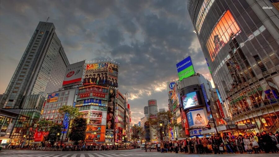 Tokyo: Customized Private Tour with a Local Guide - How the 4 to 8 Hour Format Lets You Shape the Day