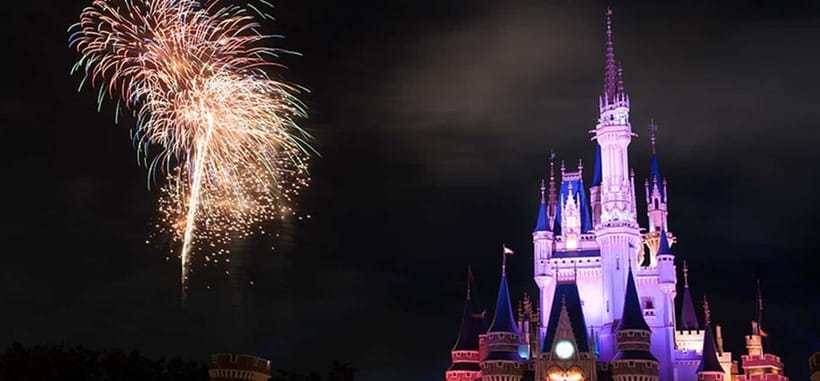 Tokyo Disneyland: 1-Day Entry Ticket and Private Transfer - Who this experience fits best (and who might skip it)
