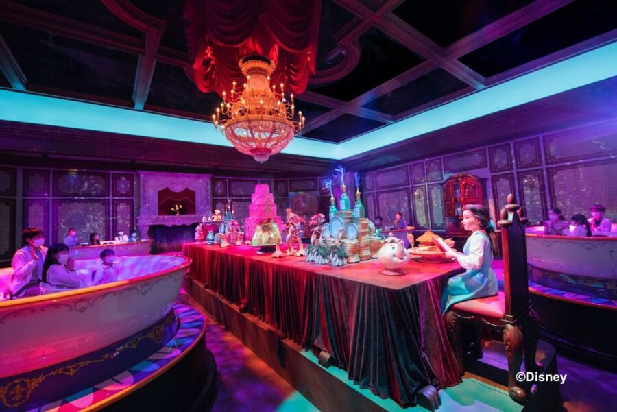 Tokyo Disneyland 1-Day Passport - Weather and End-of-Day Shows: Plan for the Lighting, Not Just the Fireworks