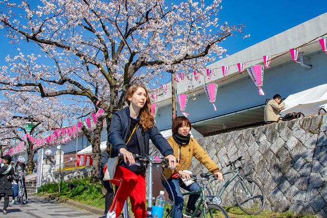 Tokyo downtown bicycle tour Tokyo Backstreets Bike Tour - Imado Shrine power-spot luck and the cat charms