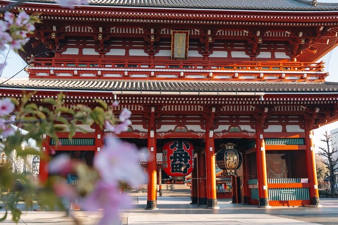 Tokyo Early Morning Tour Asakusa Meiji Shrine (Private Opt) - Key things to know before you go