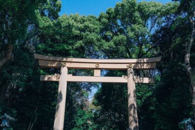 Tokyo Early Morning Tour Asakusa Meiji Shrine (Private Opt)