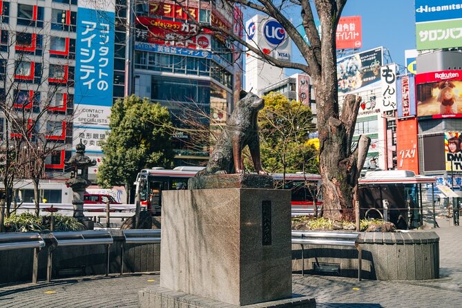 Tokyo Early Morning Tour Asakusa Meiji Shrine (Private Opt) - Shibuya Crossing and Hachiko: pop-culture chaos with a story finish