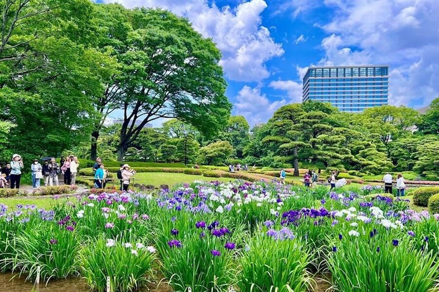 Tokyo: Edo Castle & East Garden of the Imperial Palace Tour - Stories about shoguns and the imperial family, told in human scale