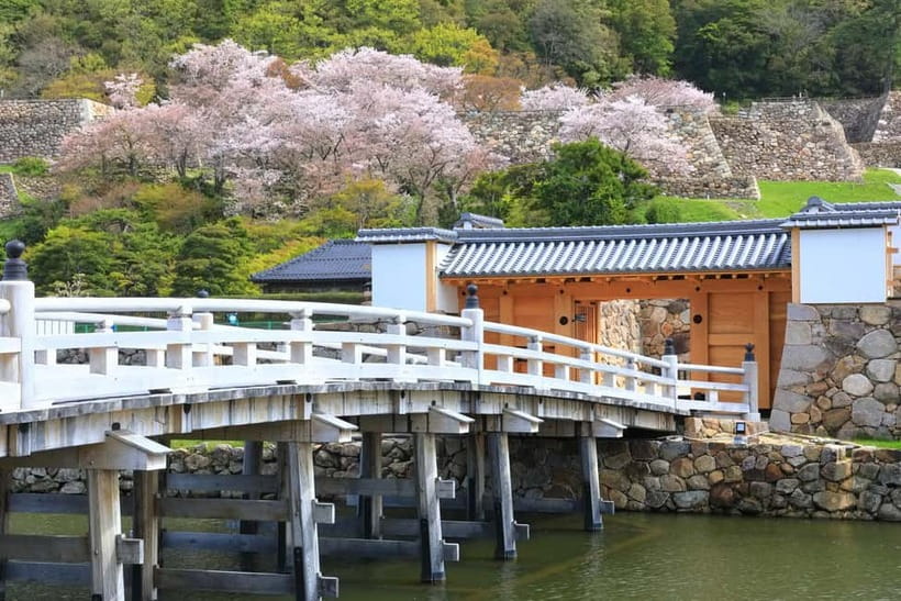 Tokyo: Edo Castle & East Garden of the Imperial Palace Tour - What you will not see: Imperial Palace inner access is off limits