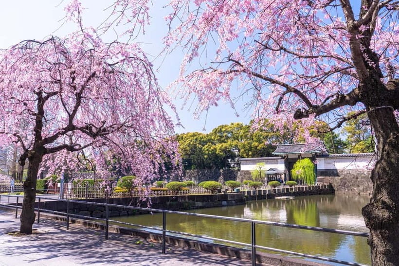 Tokyo: Edo Castle & East Garden of the Imperial Palace Tour - Logistics to take seriously: security checks and what to store