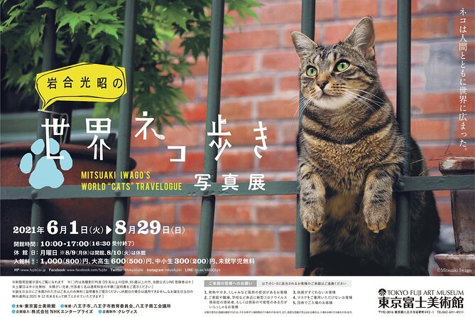 Tokyo Fuji Art Museum Admission Ticket + Special Exhibition (when being held) - Who This Museum Ticket Is Best For