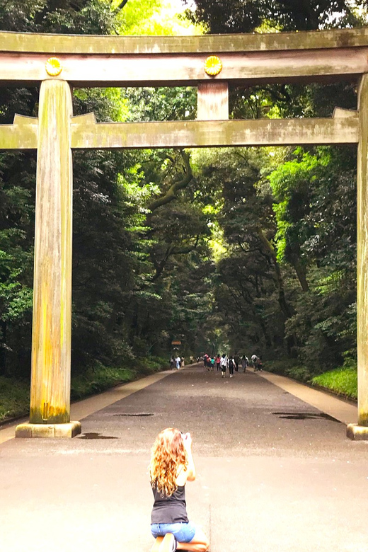 Tokyo: Full Course Tour: Explore 10 Must-Sees & Hidden Gems - Asakusa: Sensoji and Asakusa Shrine, old Tokyo in workable steps