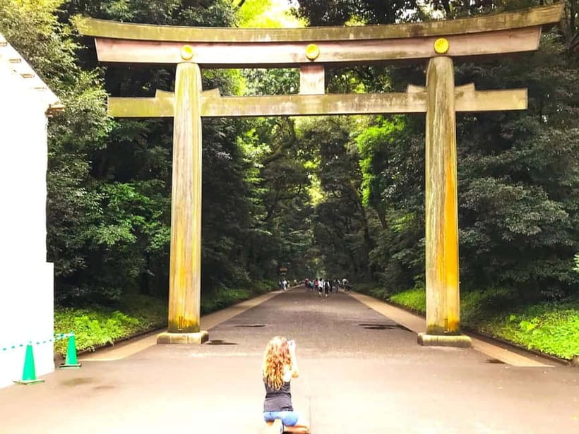 Tokyo: Full Course Tour: Explore 15 Must-Sees & Hidden Gems - Tokyo in 10 hours: how this full-course route really works