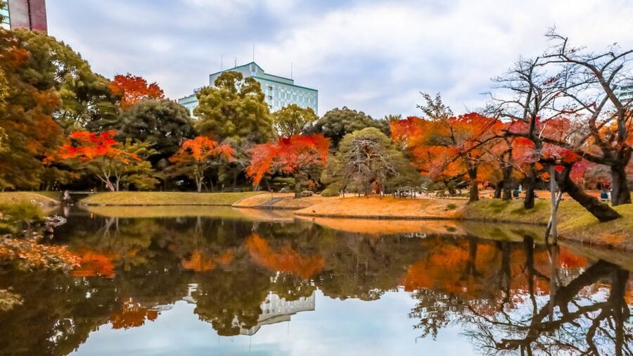 Tokyo: Full-Day Japanese Garden Private Guided Tour - Key highlights to look for