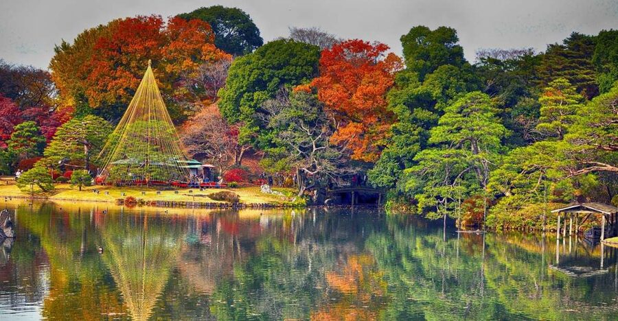 Tokyo: Full-Day Japanese Garden Private Guided Tour - Private Tokyo Garden Time, Without the Crowded Shuffle