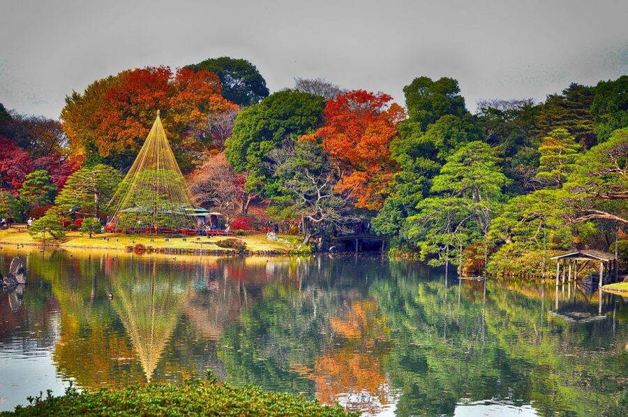 Tokyo: Full-Day Japanese Garden Private Guided Tour - Imperial Palace Gardens First, for a Gentle Start