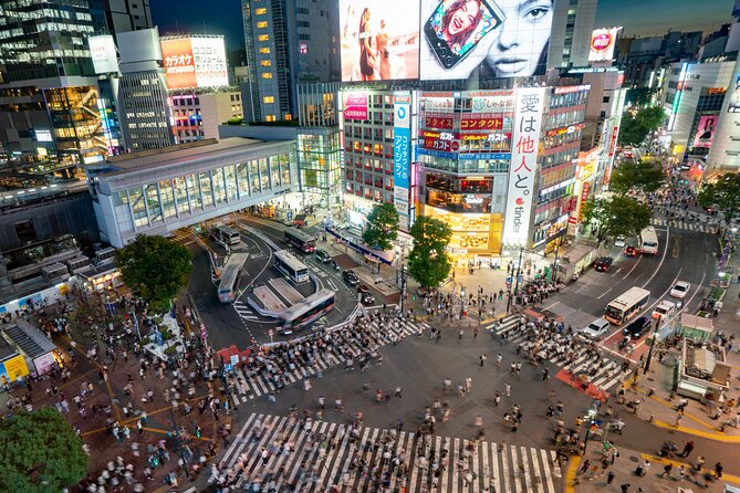 Tokyo Full-Day Private Tour (Customizable) - Stop 1: Tsukiji Fish Market, modern action in about an hour